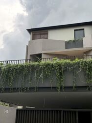Capitol Park (D11), Semi-Detached #566703151
